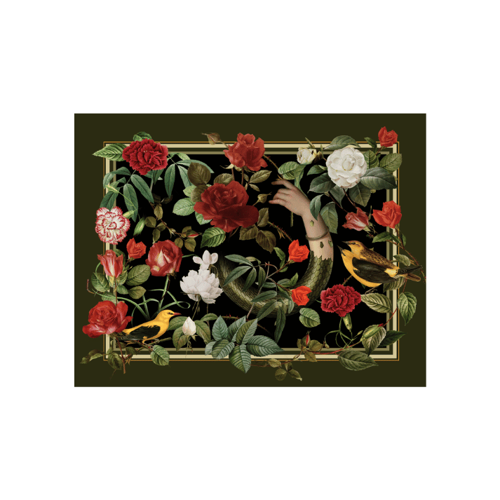 Individual Roses