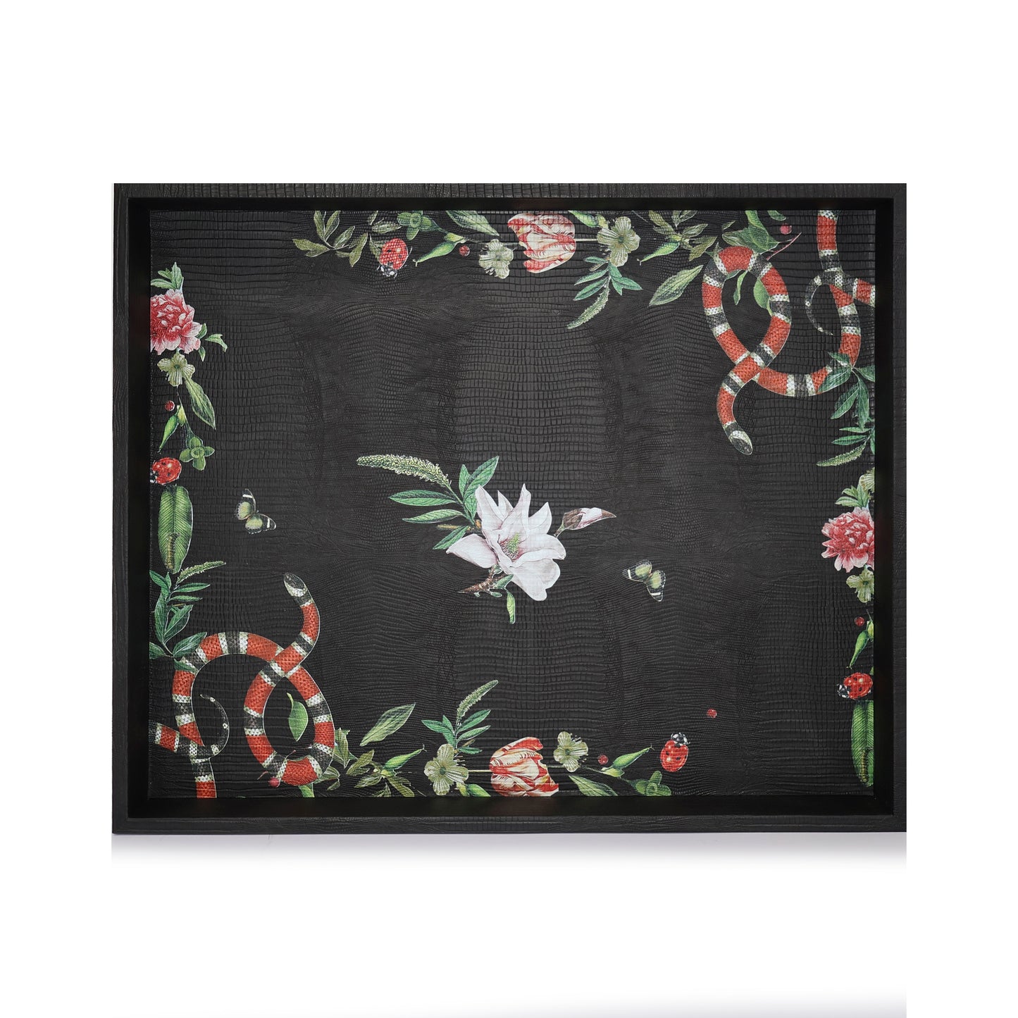 Charola Armadillo Negro Pink Serpent