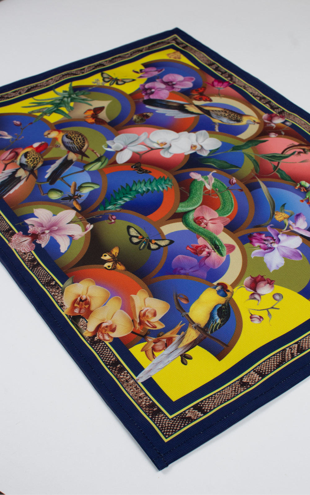 Individuales Rainbow