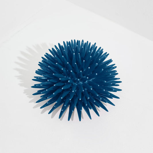 Erizo Riccio Decor Avion Blue