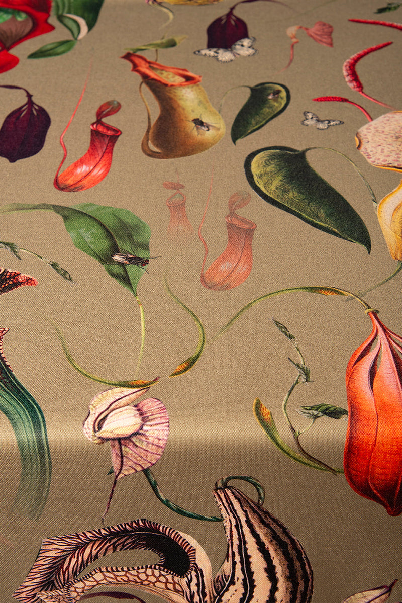 Mantel Carnivora Green