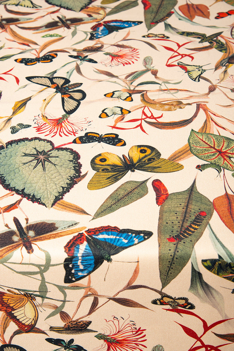 Mantel Aqua Butterfly