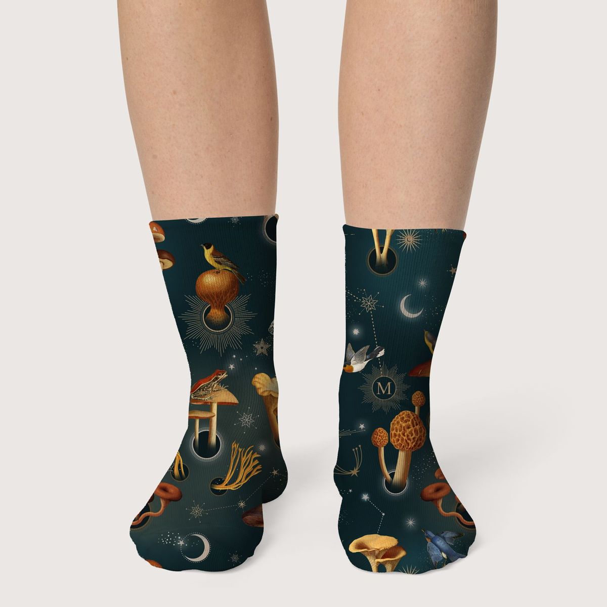 Medias Fungi