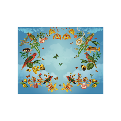 Individual Mar del Tropico