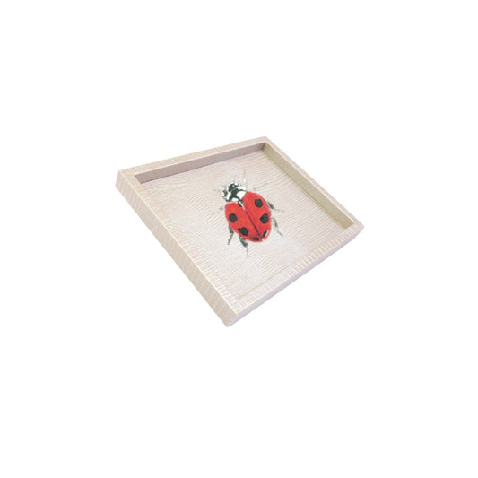 Charola Chica Tejus Plata Beige Catarina