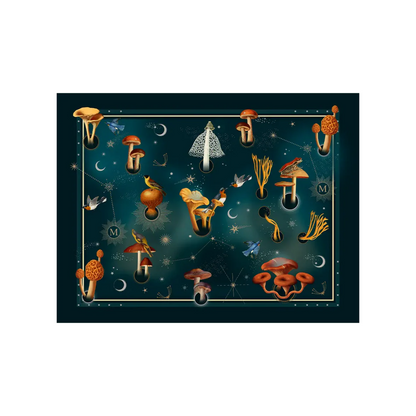 Individual Fungi