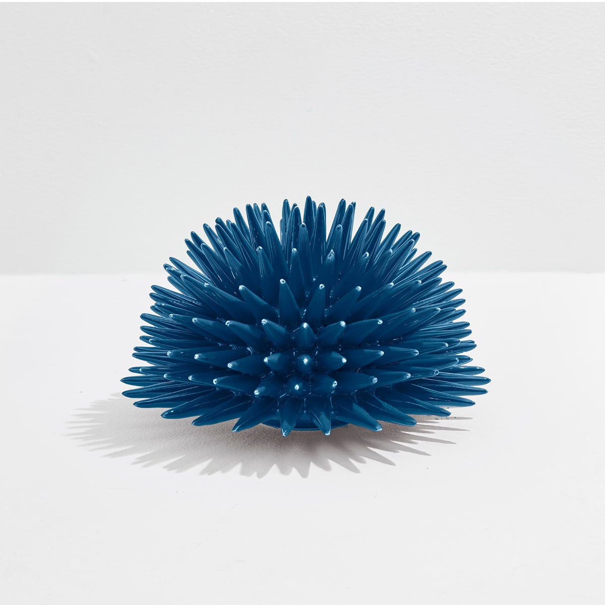 Erizo Riccio Decor Avion Blue