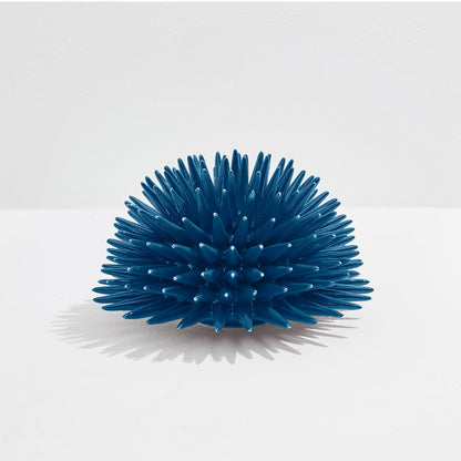 Erizo Riccio Decor Avion Blue
