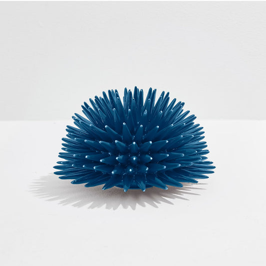 Erizo Riccio Decor Avion Blue