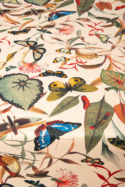 Mantel Aqua Butterfly