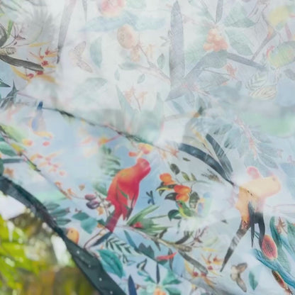 Pareo Sky Colombian Parrots