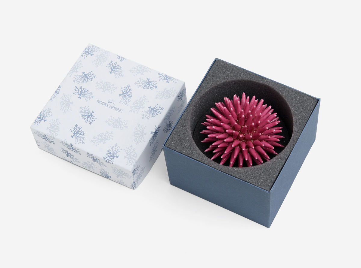Erizo Riccio Decor Avion Blue